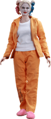 Harley Quinn Prisoner Version