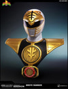 White Ranger (Prototype Shown) View 7