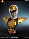White Ranger (Prototype Shown) View 8