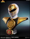 White Ranger (Prototype Shown) View 9