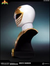 White Ranger (Prototype Shown) View 14