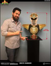 White Ranger (Prototype Shown) View 15
