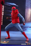 Spider-Man Homemade Suit Version (Prototype Shown) View 17