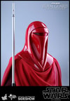 Royal Guard- Prototype Shown