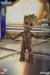 Groot (Prototype Shown) View 1