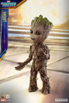 Groot (Prototype Shown) View 22