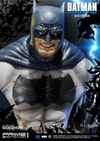 Batman Blue Version Exclusive Edition (Prototype Shown) View 6