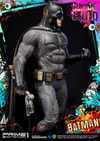 Batman Collector Edition (Prototype Shown) View 18