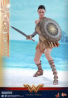 Wonder Woman Training Armor Version (Prototype Shown) View 19