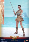 Wonder Woman Training Armor Version (Prototype Shown) View 16