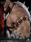 Orgrim (Prototype Shown) View 16