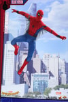 Spider-Man Deluxe Version (Prototype Shown) View 15