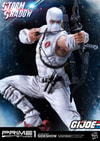 Storm Shadow Collector Edition (Prototype Shown) View 6