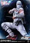 Storm Shadow Collector Edition (Prototype Shown) View 16