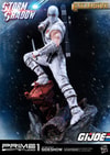 Storm Shadow Exclusive Edition (Prototype Shown) View 1
