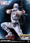 Storm Shadow Exclusive Edition (Prototype Shown) View 2