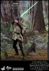 Luke Skywalker Deluxe Version (Prototype Shown) View 11