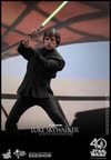 Luke Skywalker (Prototype Shown) View 16