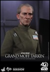 Grand Moff Tarkin (Prototype Shown) View 14