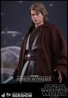 Anakin Skywalker (Prototype Shown) View 18