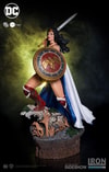 Wonder Woman (Prototype Shown) View 12