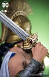 Wonder Woman (Prototype Shown) View 17
