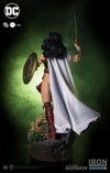Wonder Woman (Prototype Shown) View 10