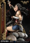 Wonder Woman  on Horseback
