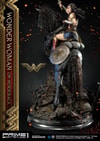 Wonder Woman  on Horseback