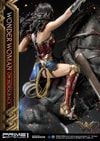 Wonder Woman  on Horseback