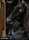 Wonder Woman  on Horseback