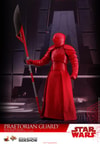 Praetorian Guard with Heavy Blade (Prototype Shown) View 1