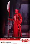 Praetorian Guard with Heavy Blade (Prototype Shown) View 2