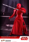 Praetorian Guard with Heavy Blade (Prototype Shown) View 5