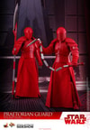 Praetorian Guard with Heavy Blade (Prototype Shown) View 6