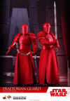 Praetorian Guard with Heavy Blade (Prototype Shown) View 8