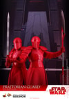 Praetorian Guard with Heavy Blade (Prototype Shown) View 9