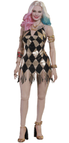 Harley Quinn Dancer Dress Version (Prototype Shown) View 15