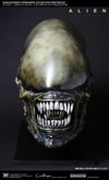 Xenomorph Life-Size Head (Prototype Shown) View 3
