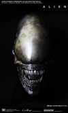 Xenomorph Life-Size Head (Prototype Shown) View 13