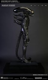 Gigers Alien (Prototype Shown) View 7