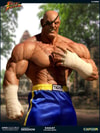 Sagat