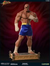 Sagat