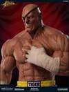 Sagat