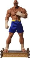 Sagat