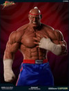 Sagat Victory