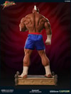 Sagat Victory