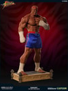Sagat Victory