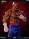 Sagat Victory