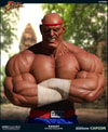 Sagat Victory